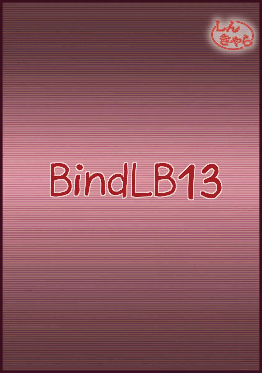 BindLB13 - page30