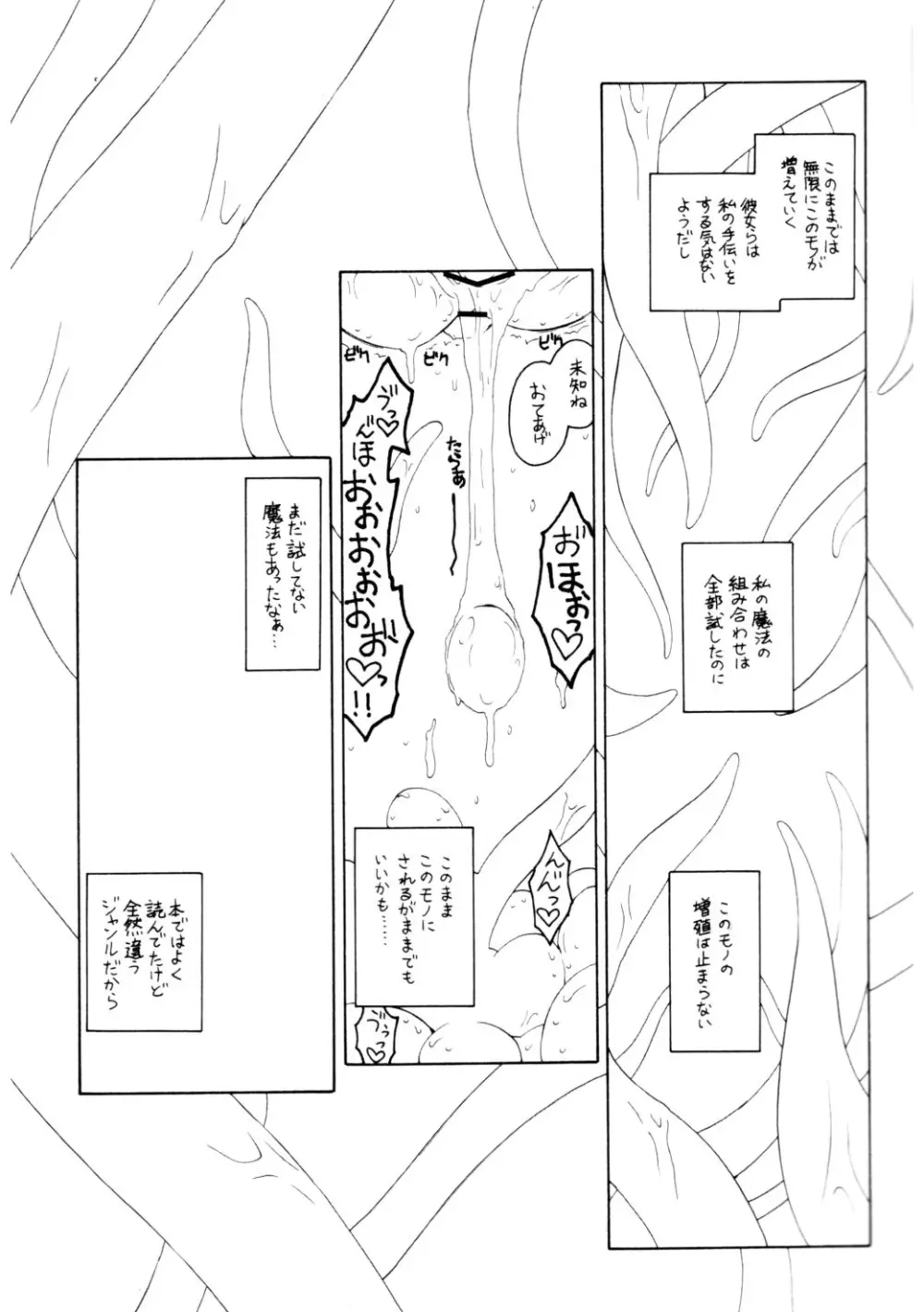 パチュリーの洗礼2 ある館の一日 その2 - page13