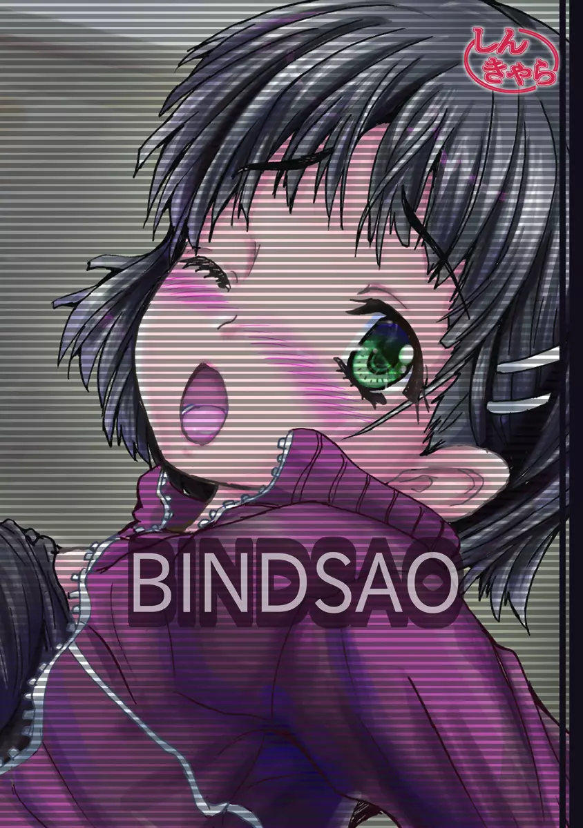 Bind SAO - page29