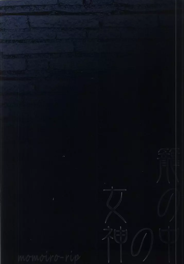 籠の中の女神 - page26