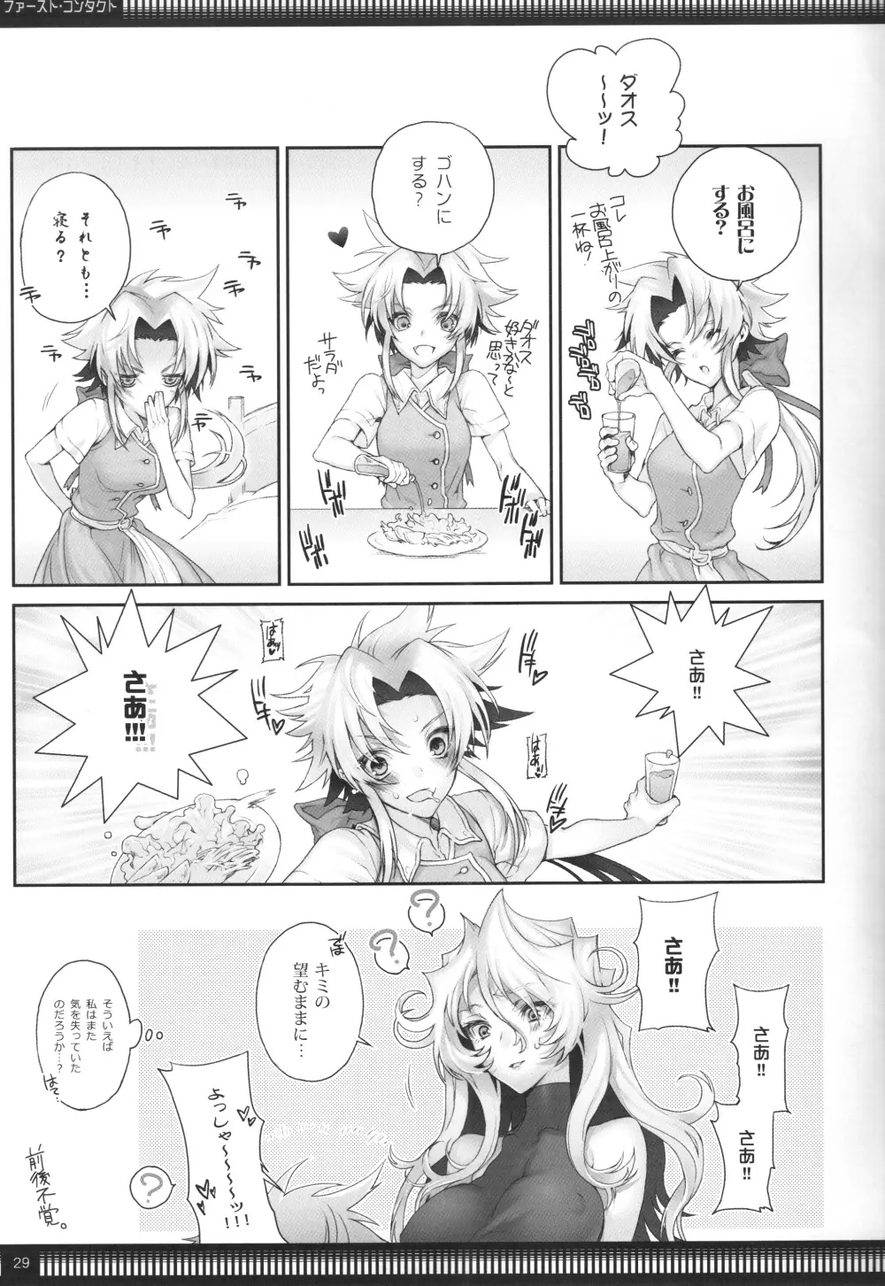 ファースト・コンタクト - page29