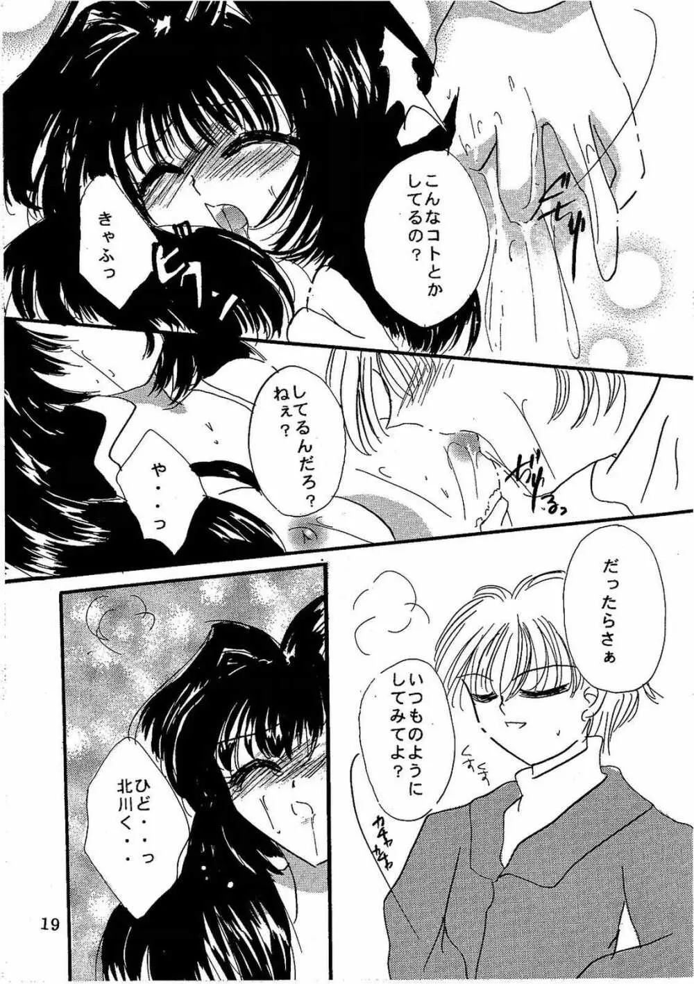 シークレットガーデン - page18