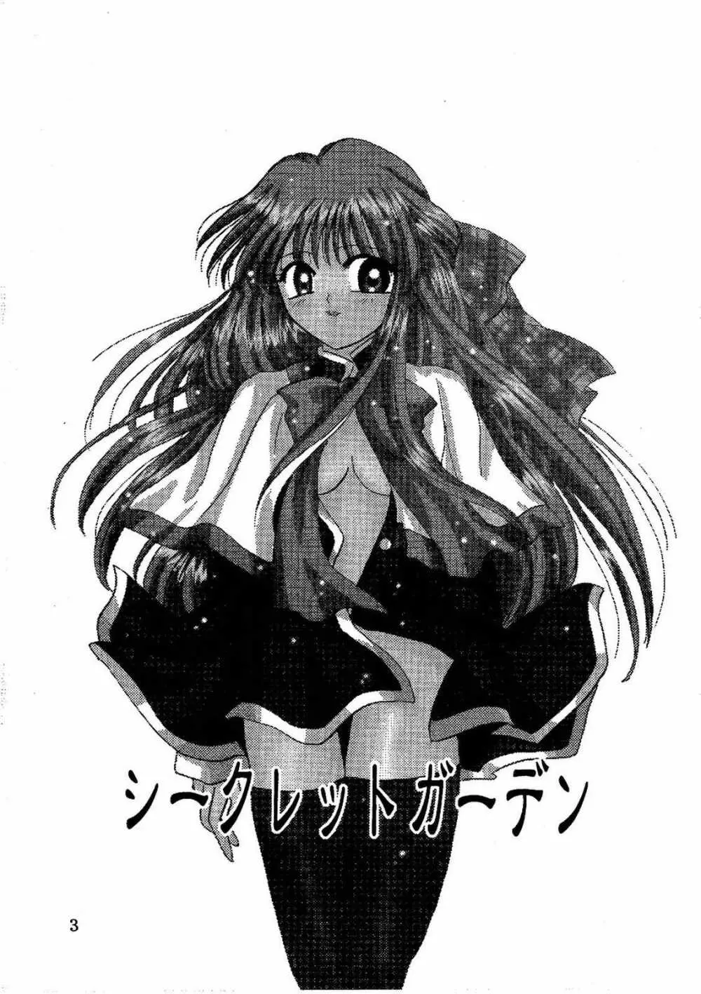 シークレットガーデン - page2