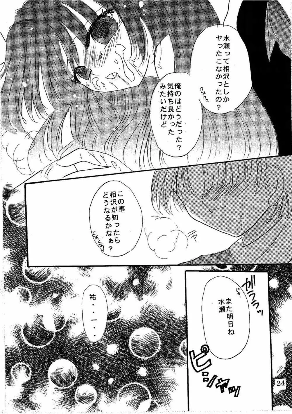 シークレットガーデン - page23