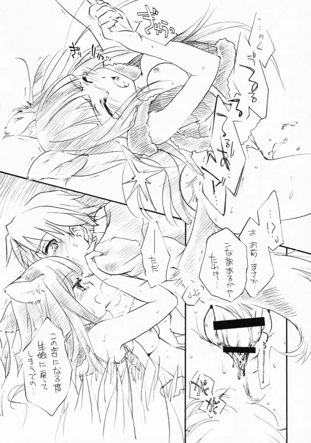 狼の総決算 - page10