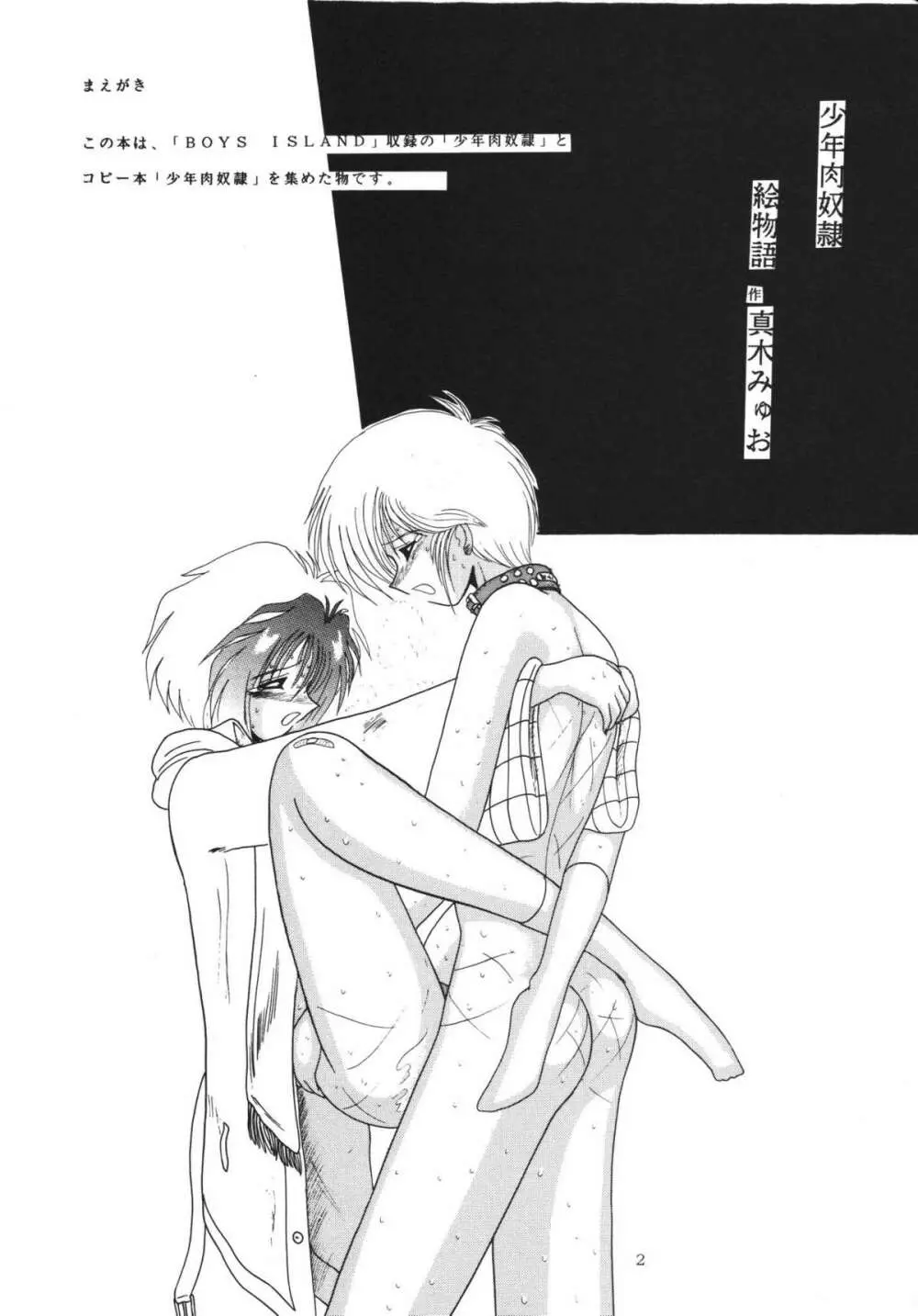 少年肉奴隷 - page2