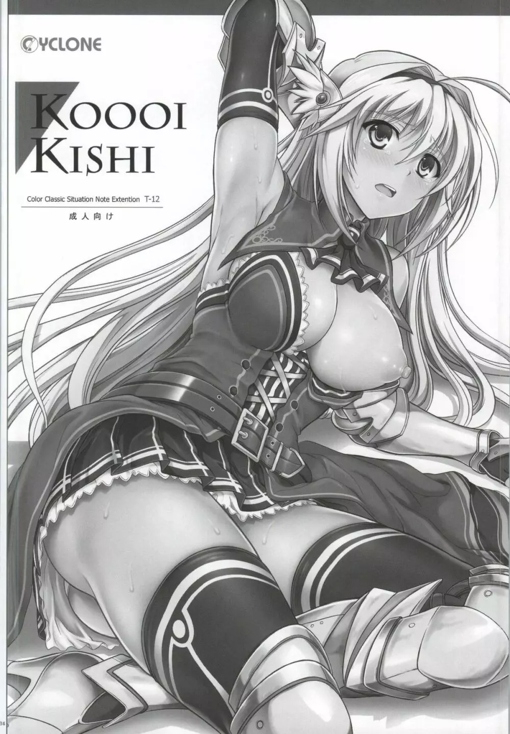 T-12 Koooi Kishi - page2