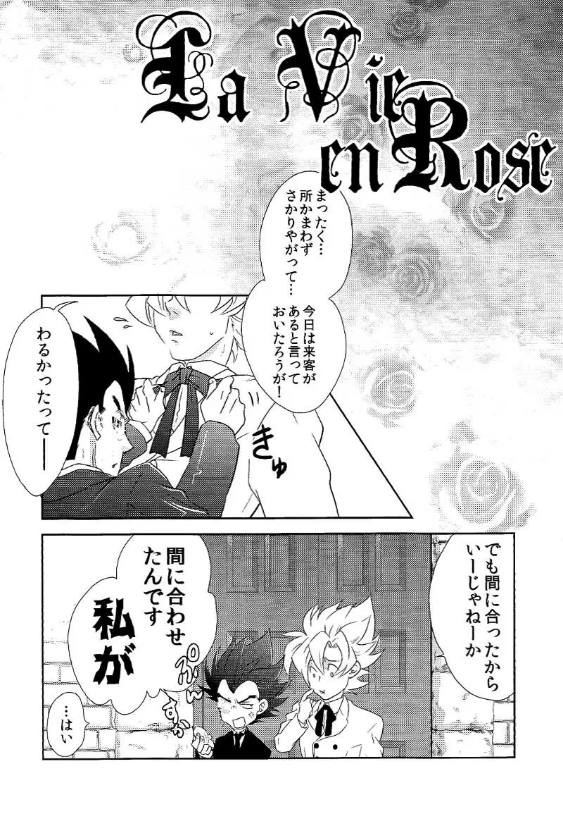 La Vie en Rose - page7