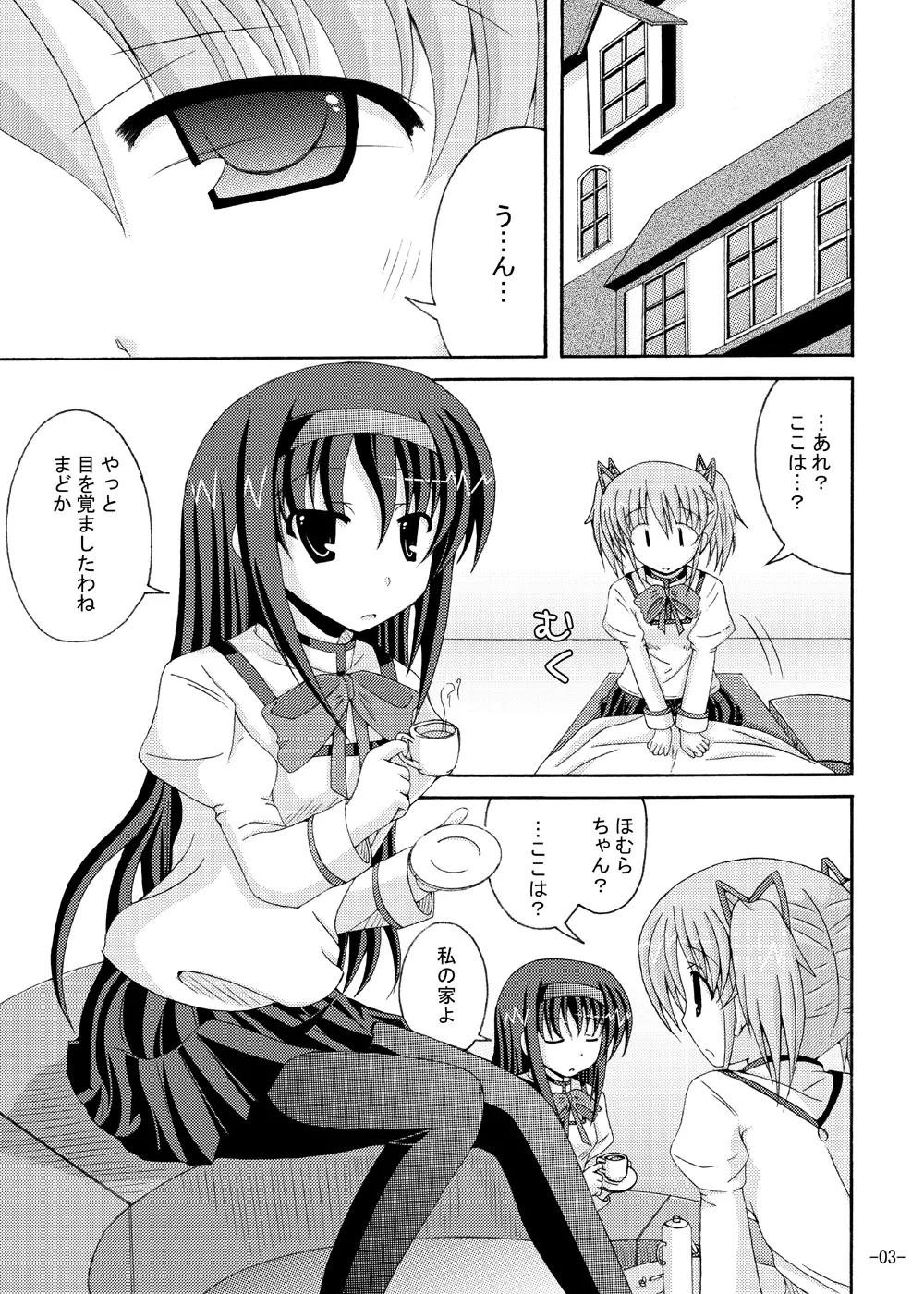 ほむほむの暴走 - page2