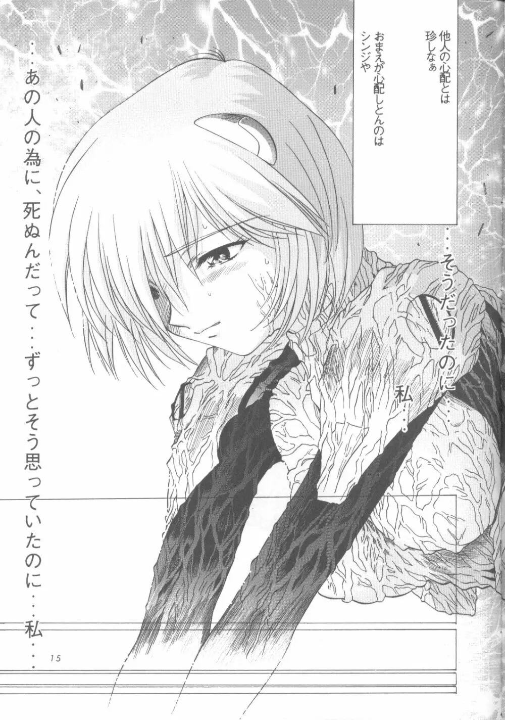 綾波零式 Ayanami Zero Spec - page14