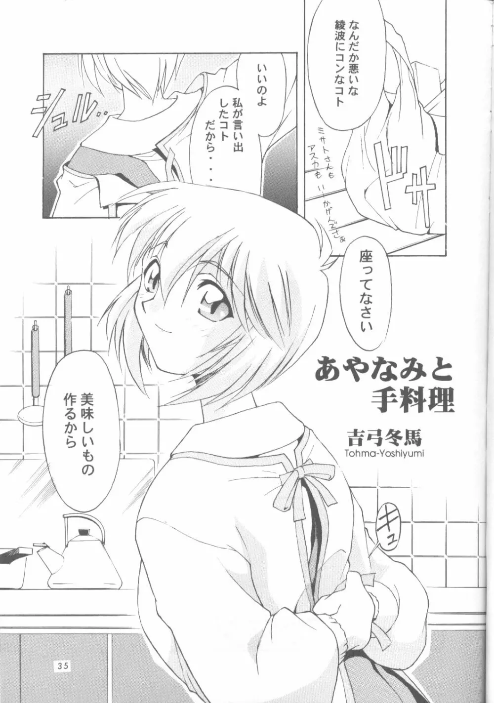綾波零式 Ayanami Zero Spec - page34