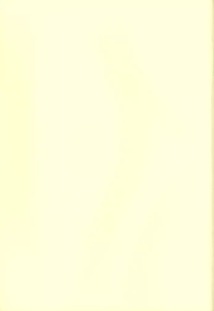 そら豆のクリームあえスパゲティ - page2