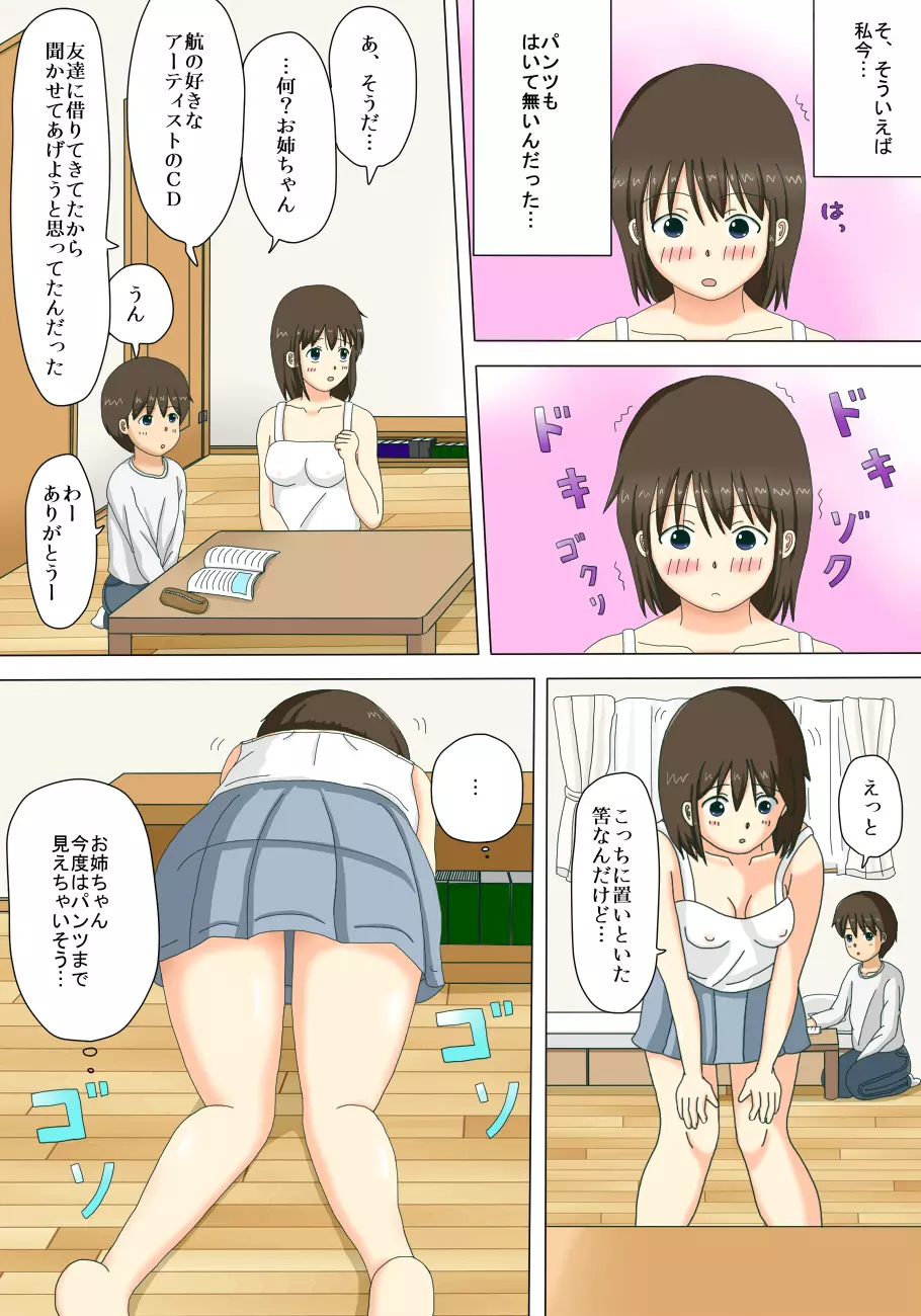 お姉ちゃんの露出体験記 - page11