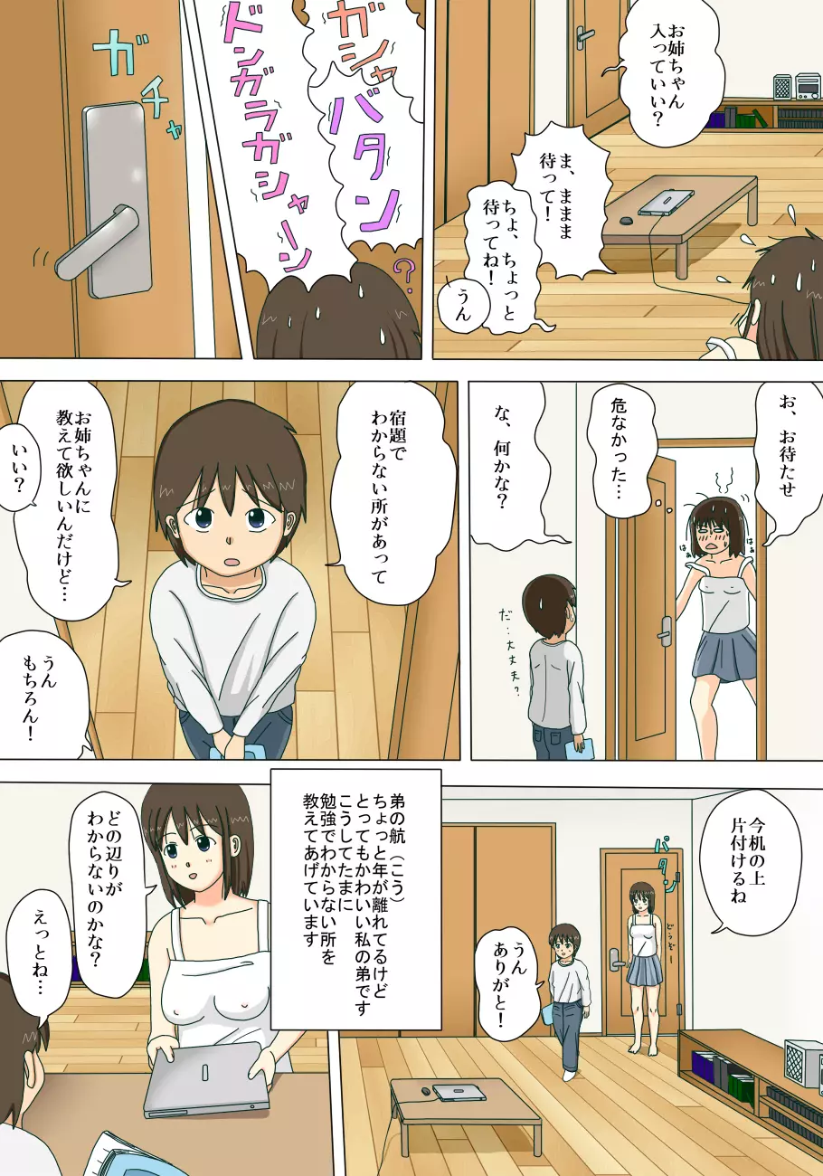 お姉ちゃんの露出体験記 - page6