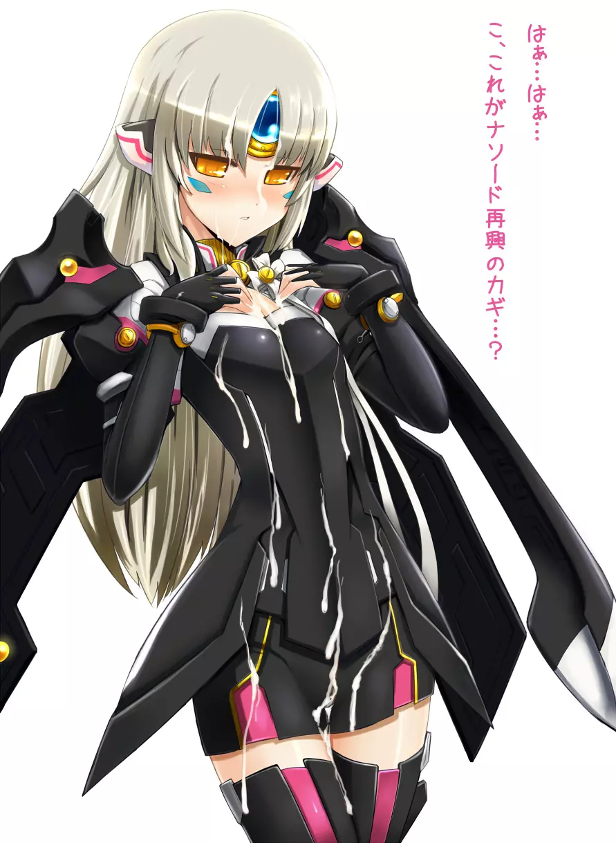 Elsword CodeNemesis swimsuit - page6