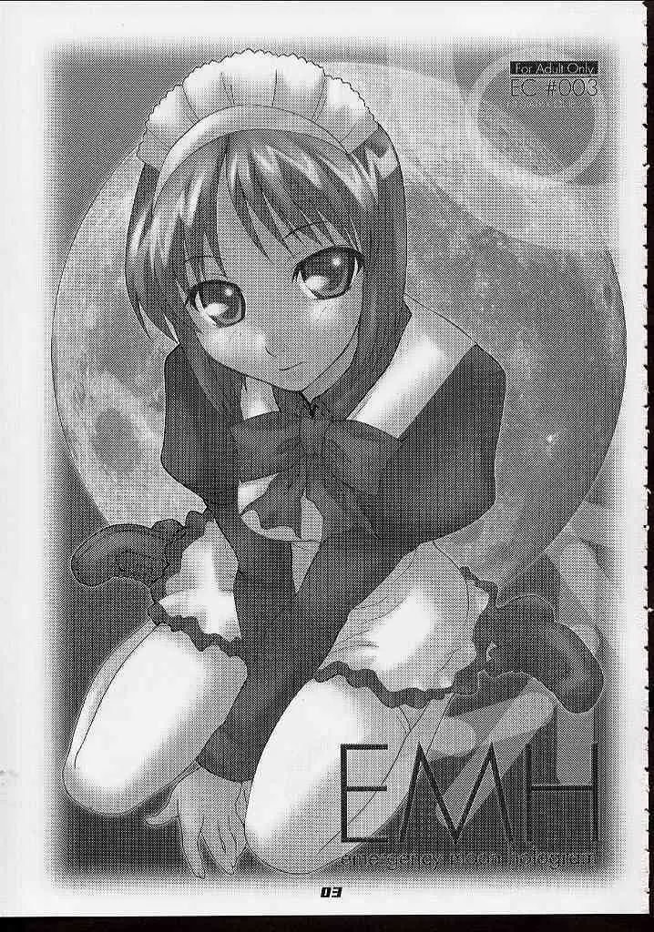 E.M.H - page2
