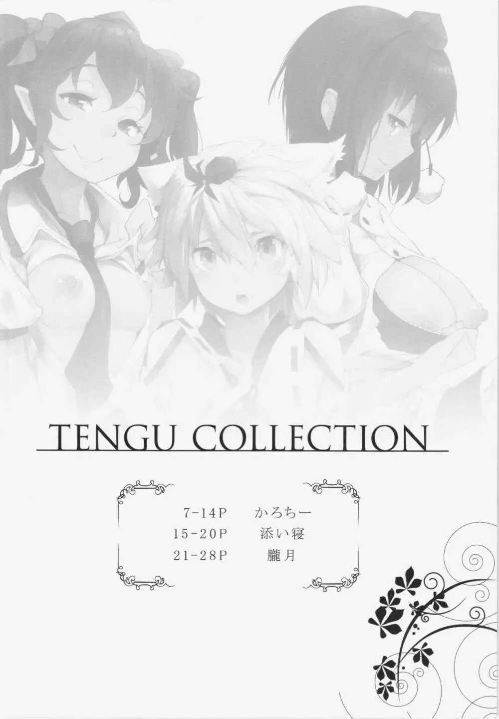 TENGU COLLECTION - page6
