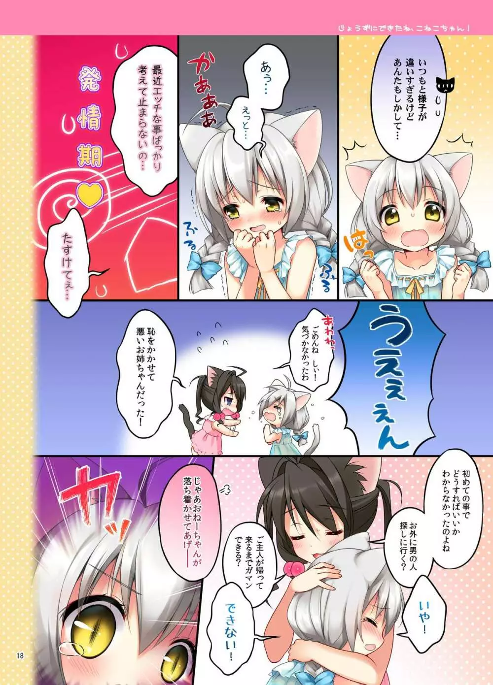 こねこちゃんでらっくす! - page17