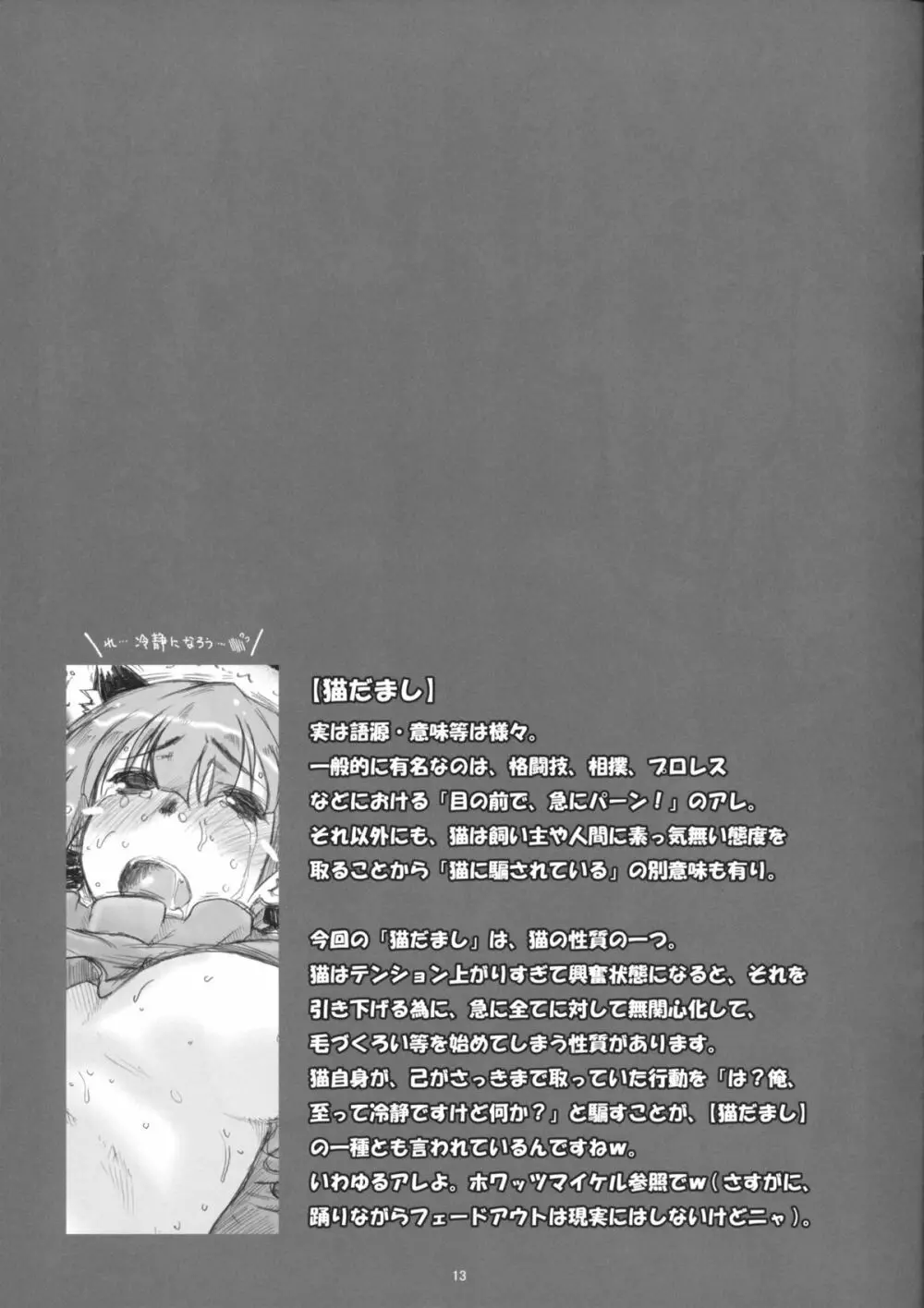 火炎猫でも猫だまし - page12