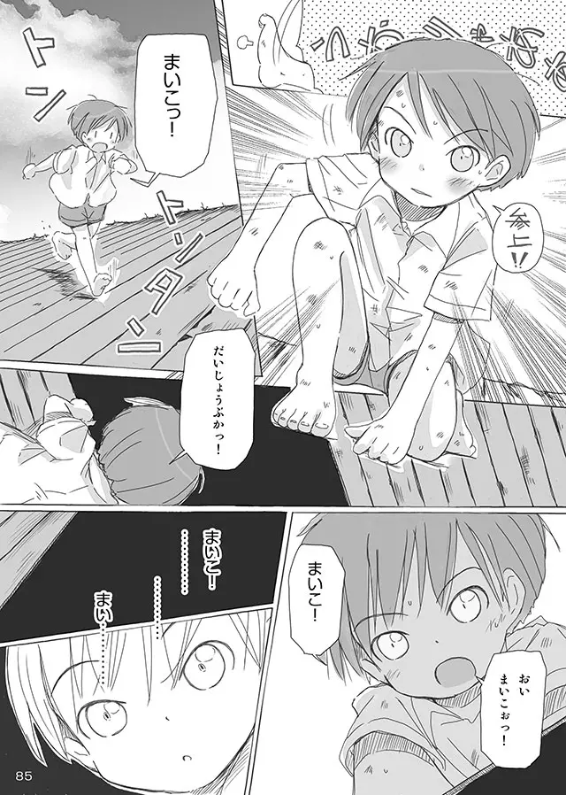 セレモニー1 - page87