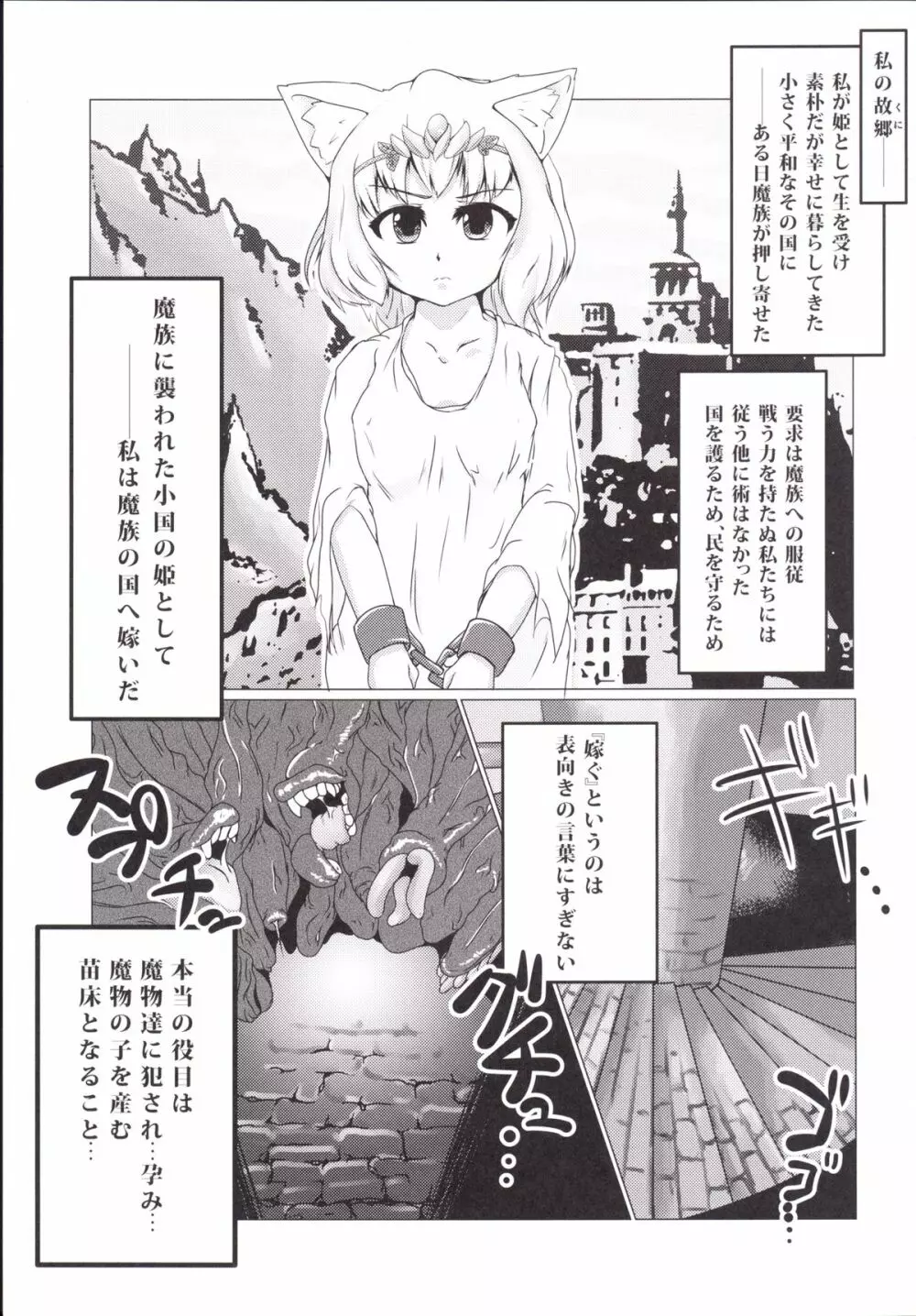 ヒメノシメイ - page2