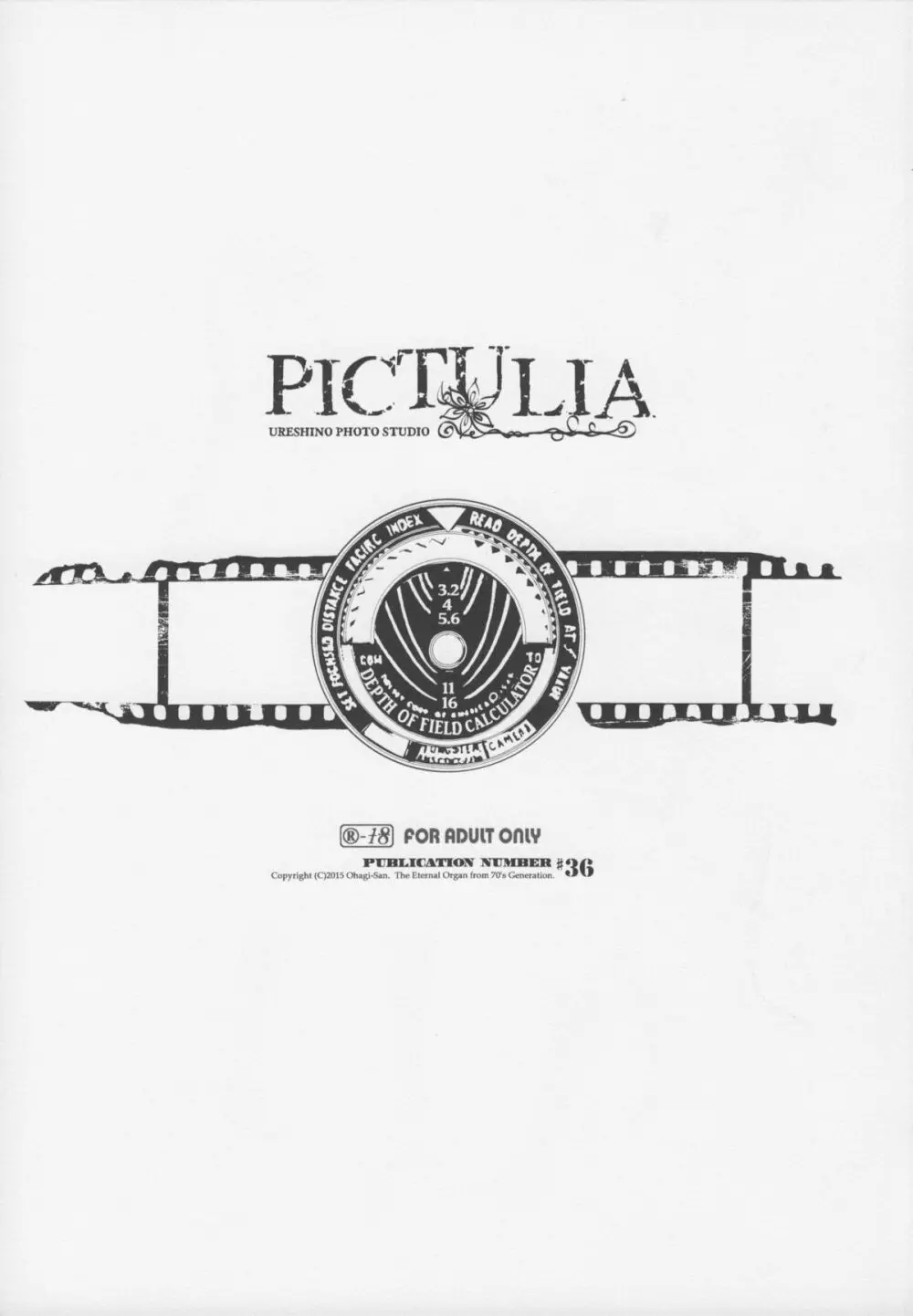 pictulia + 4Pリーフレット - page4