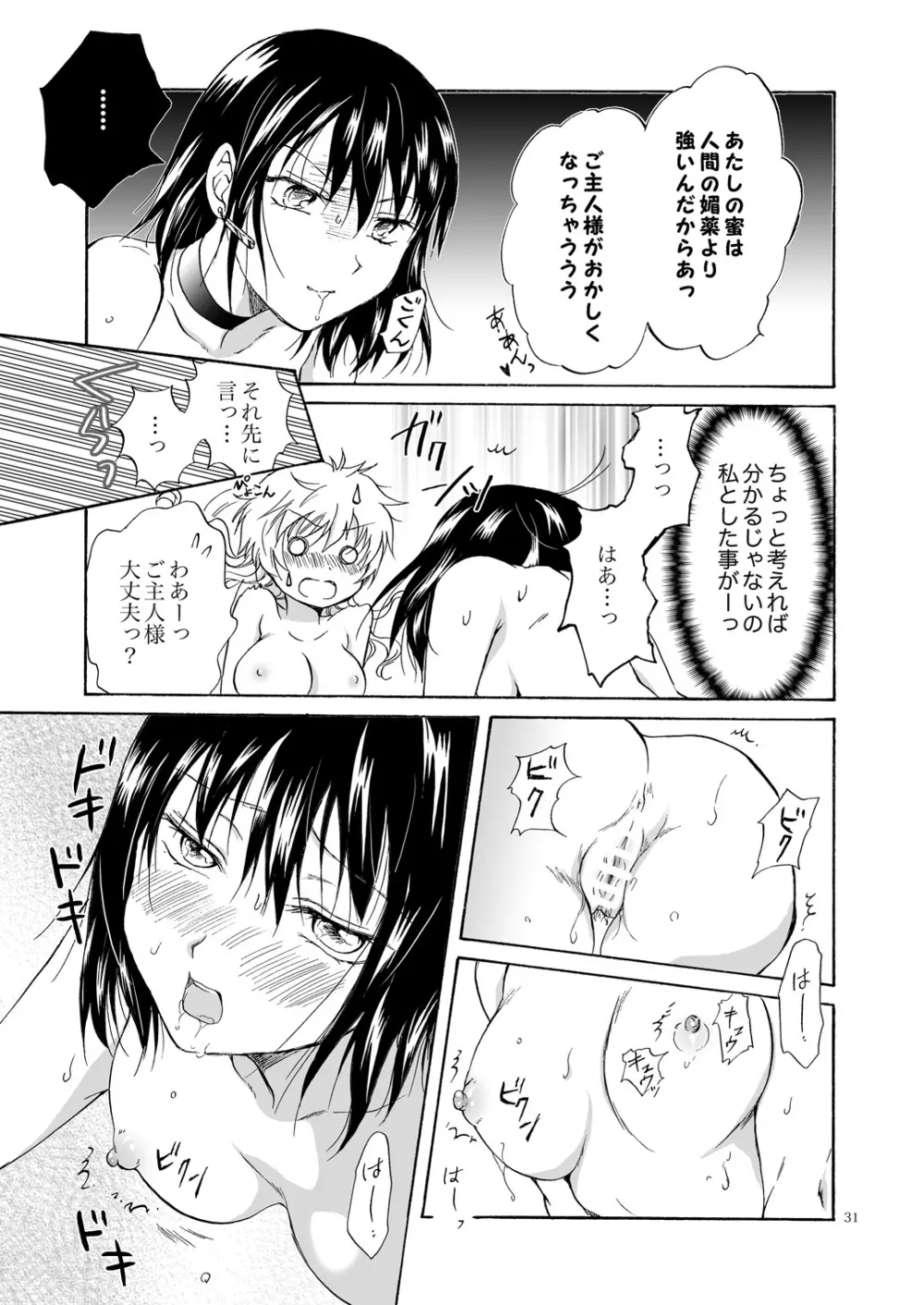 ご主人様だーいすき! - page30