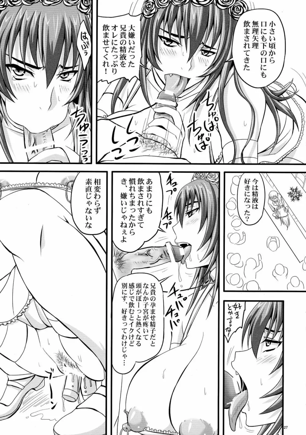 ドSな姫は汚される 辱ノ七 凌辱披露宴 - page27