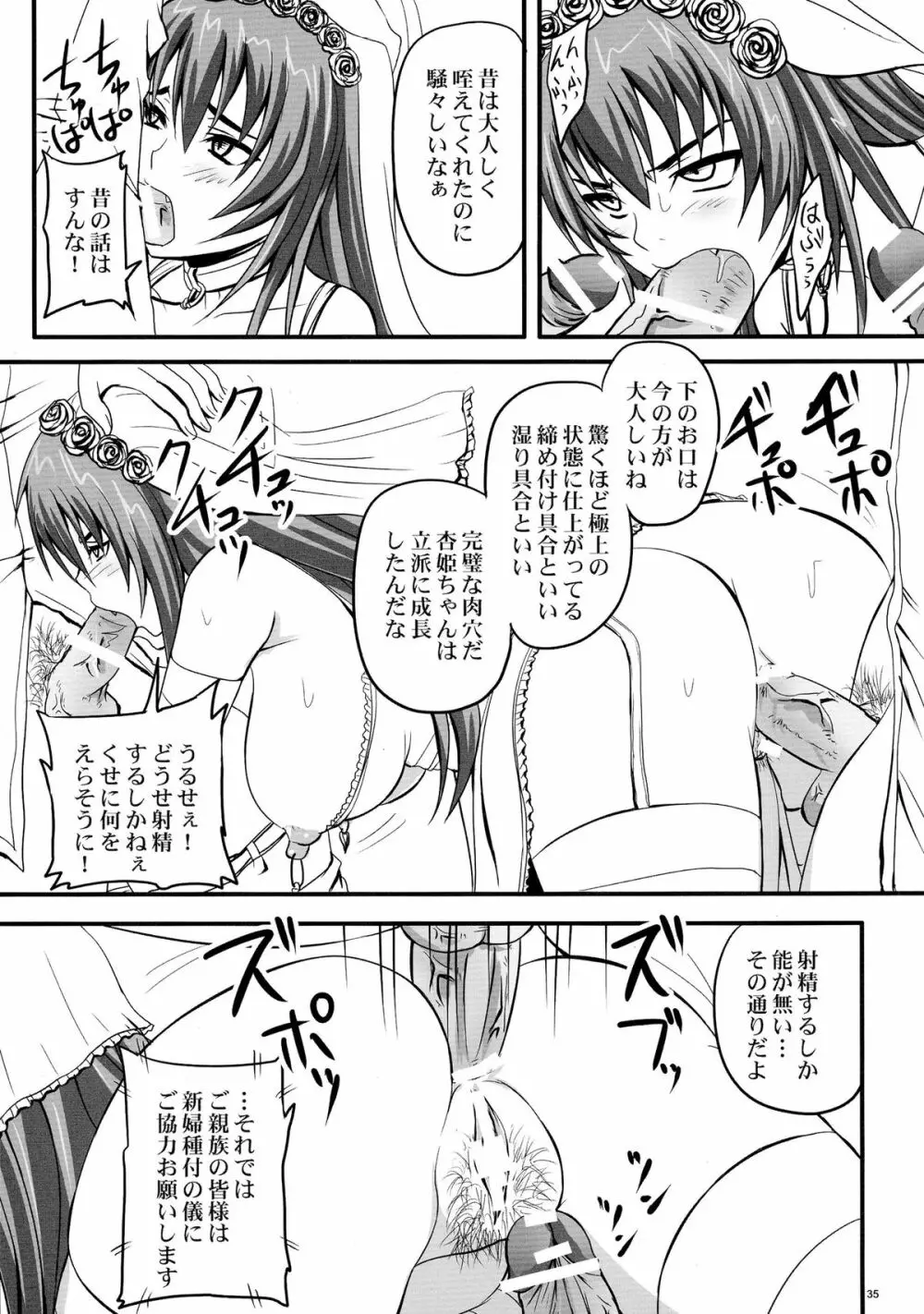 ドSな姫は汚される 辱ノ七 凌辱披露宴 - page35