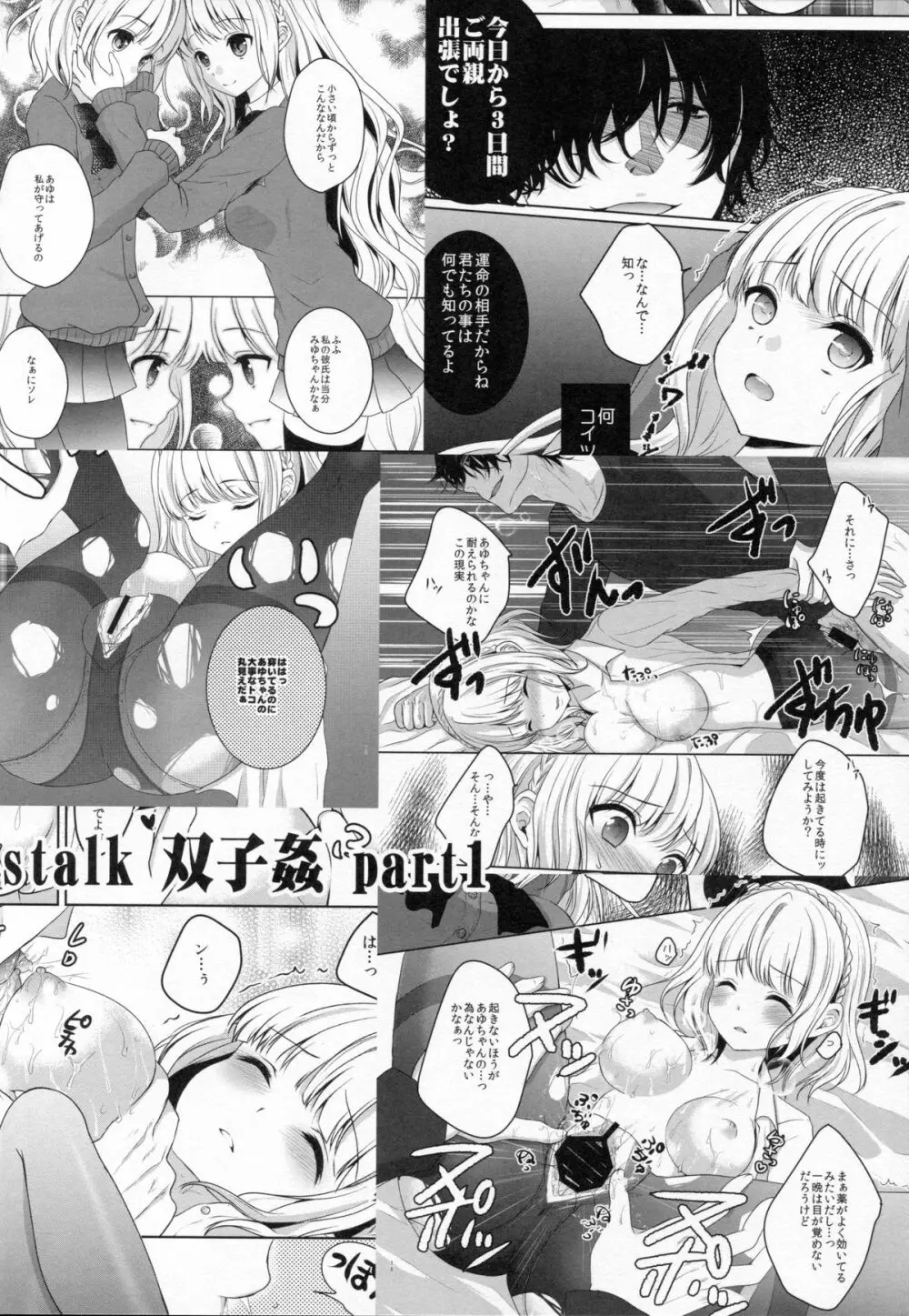 stalk 双子姦 part2 - page3