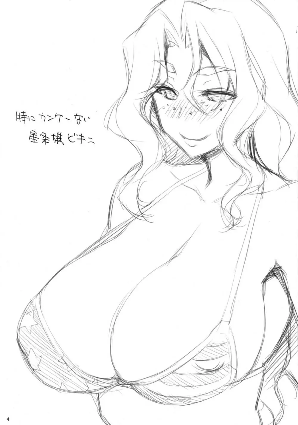 淫欲のストラウス - page3