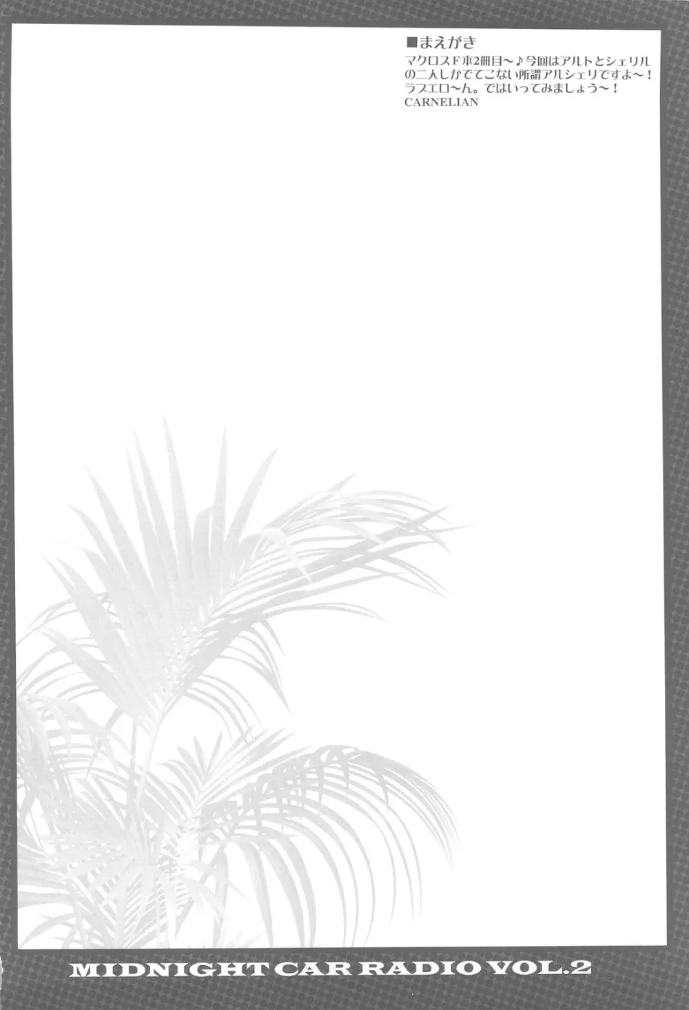 MIDNIGHT CAR RADIO VOL.2 - page3