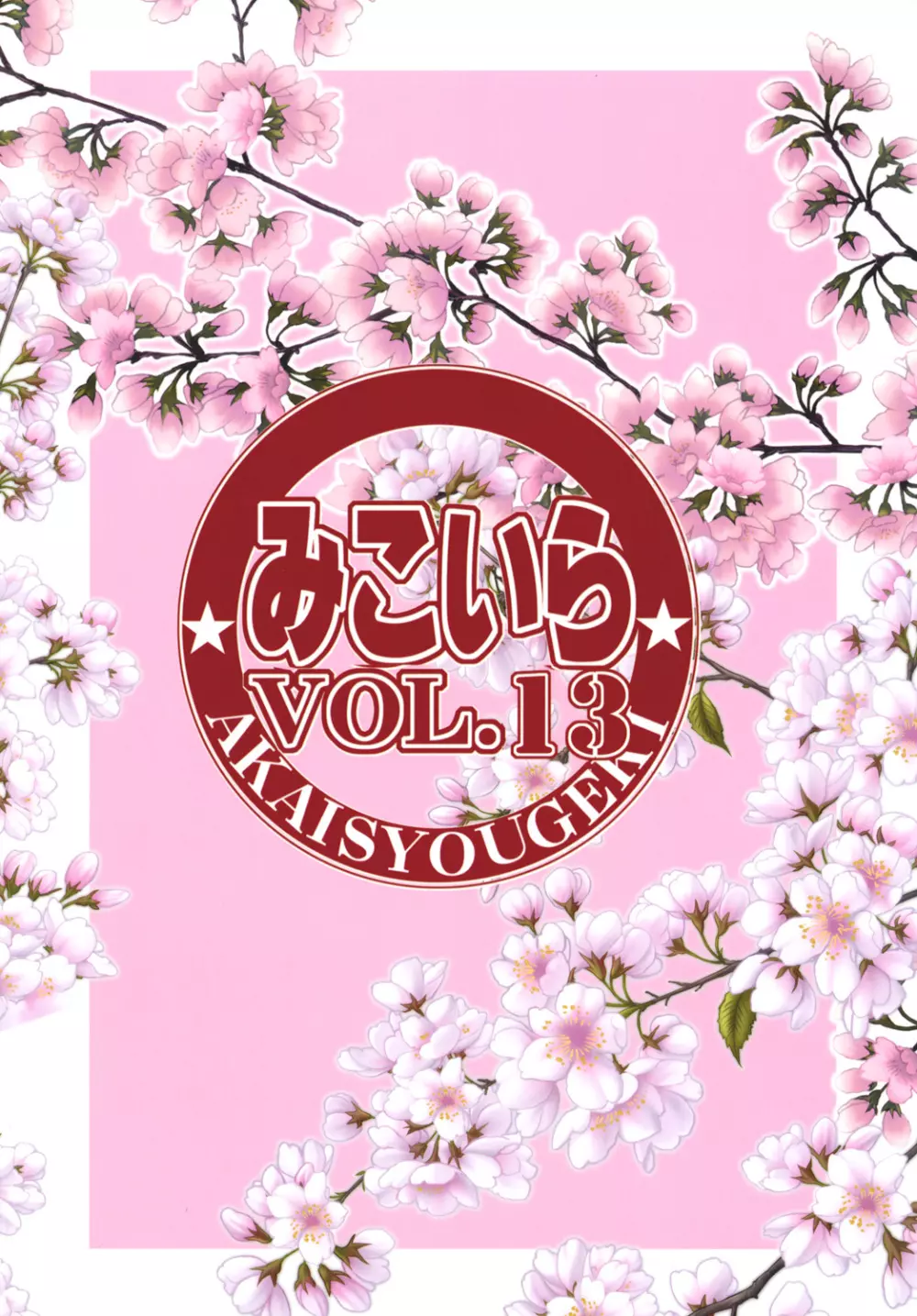 みこいらVol.13 - page13