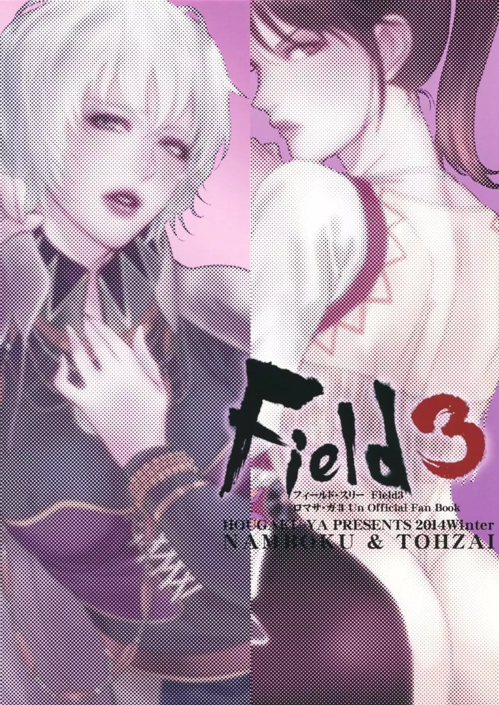 FIELD3 - page2