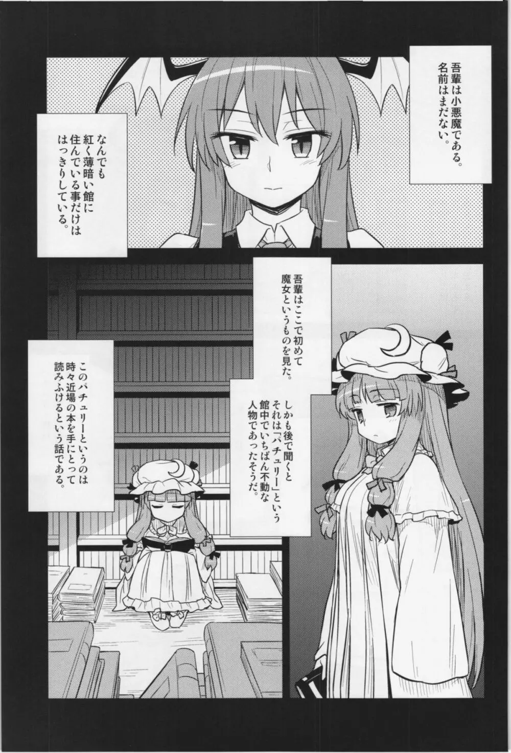 小悪魔のパチュリー観察記 - page3