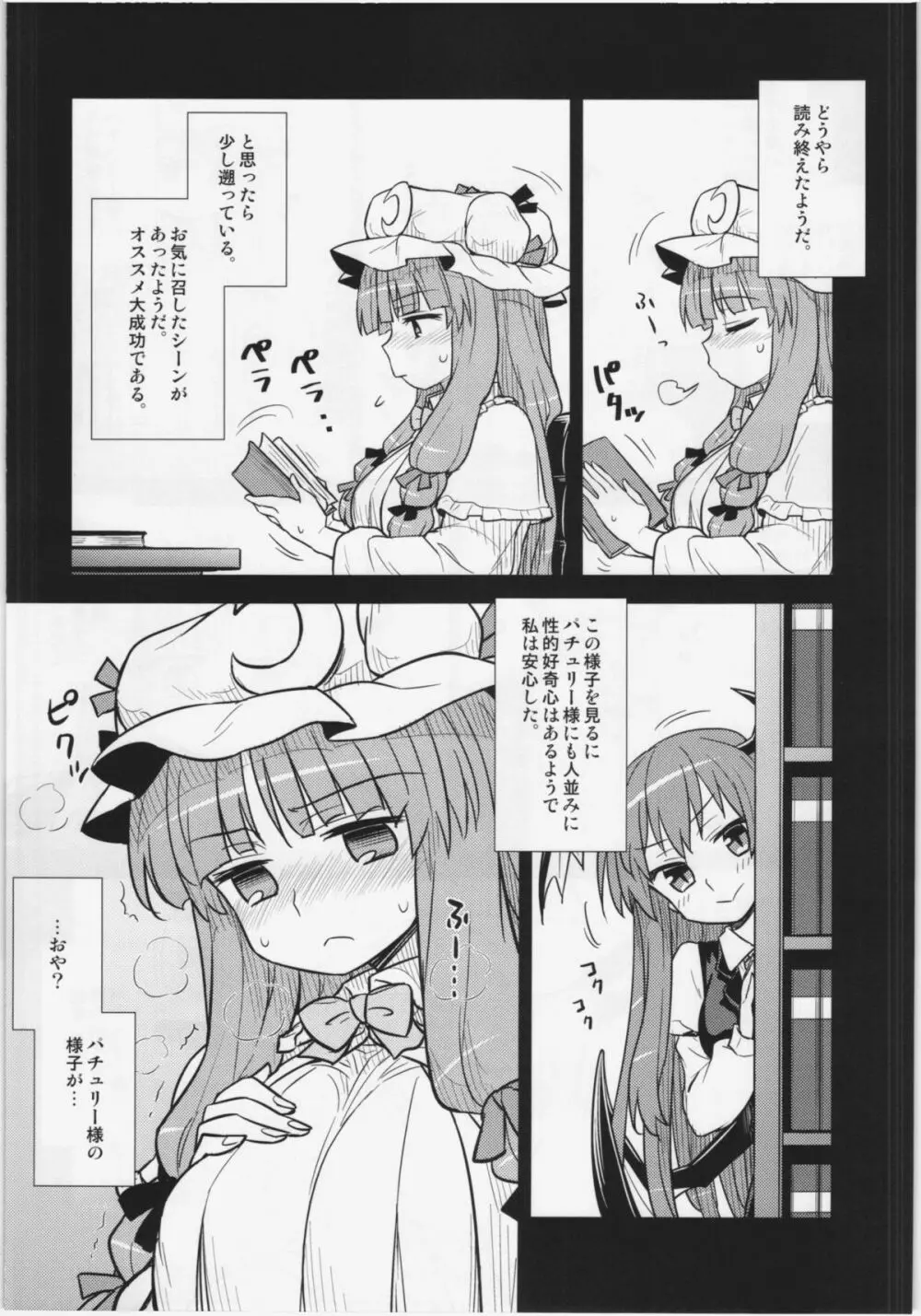 小悪魔のパチュリー観察記 - page6