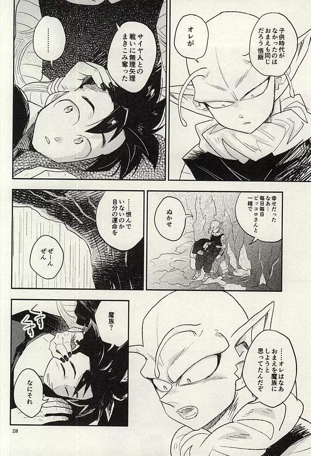 同じ星で生まれた - page27