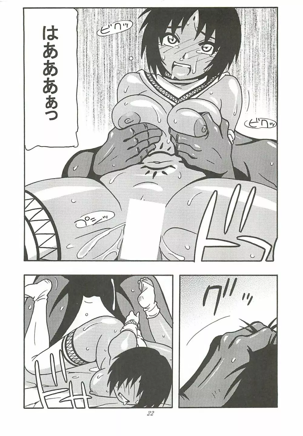 CELVARG2 - page21