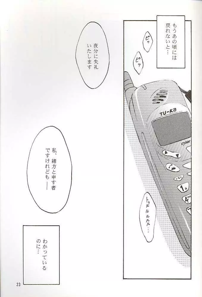 Salvia remix クロニック ラヴ - page23