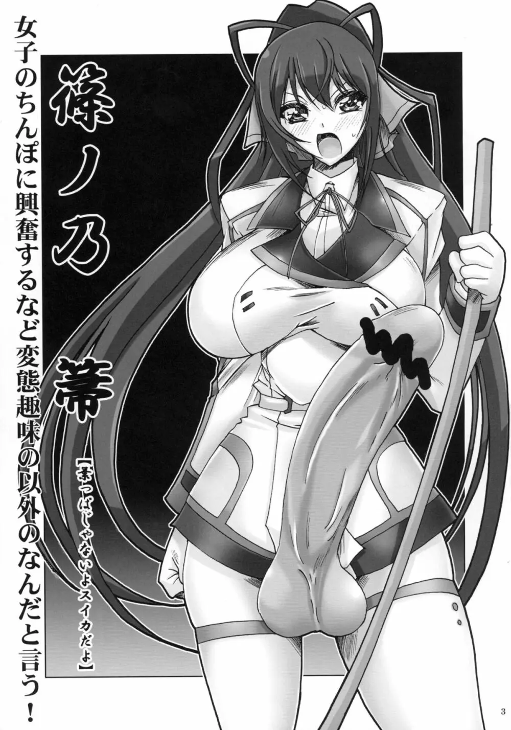 IJP インフィニットストラトスの女性たちにペニスが生えただけの本 - page3