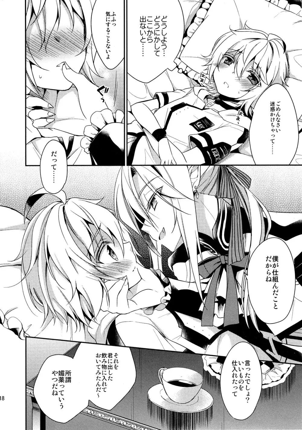 貴族様の秘めやかな遊び - page17
