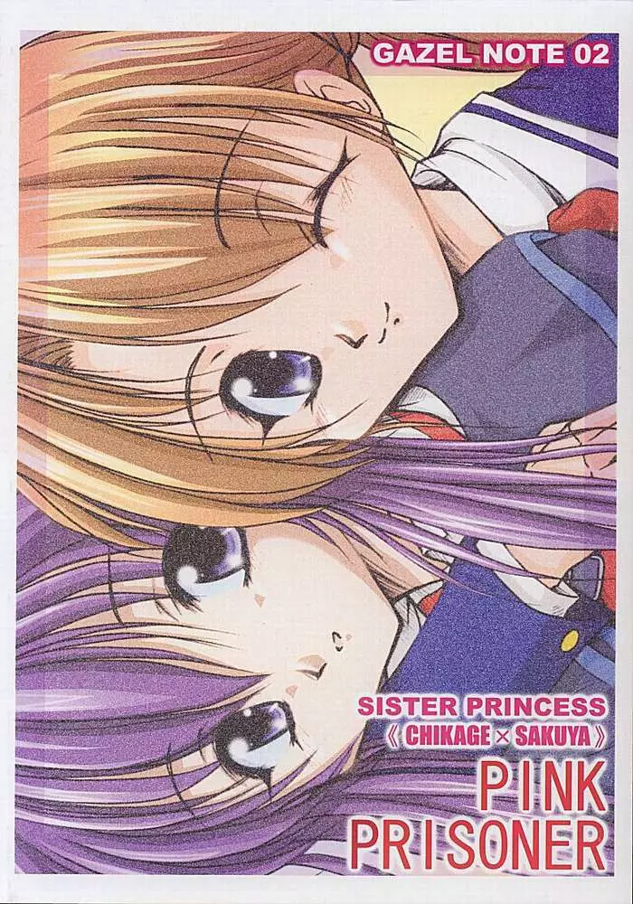 PINK PRISONER -Extended Mix- - page19