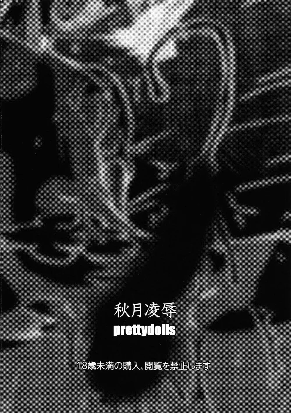 秋月凌辱 - page18