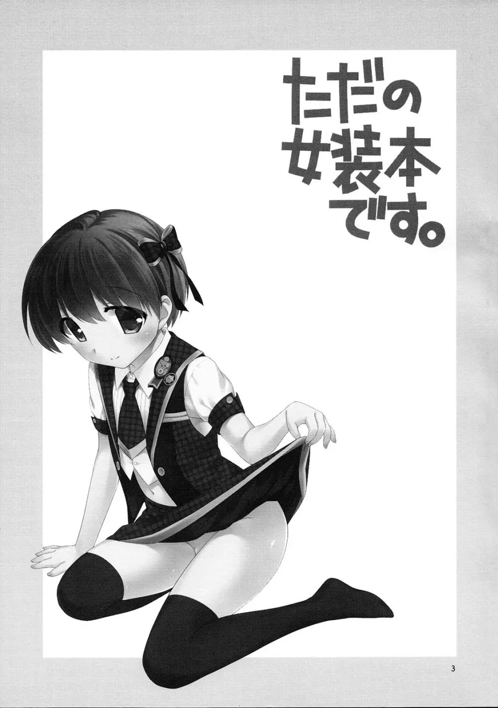 ただの女装本です - page3