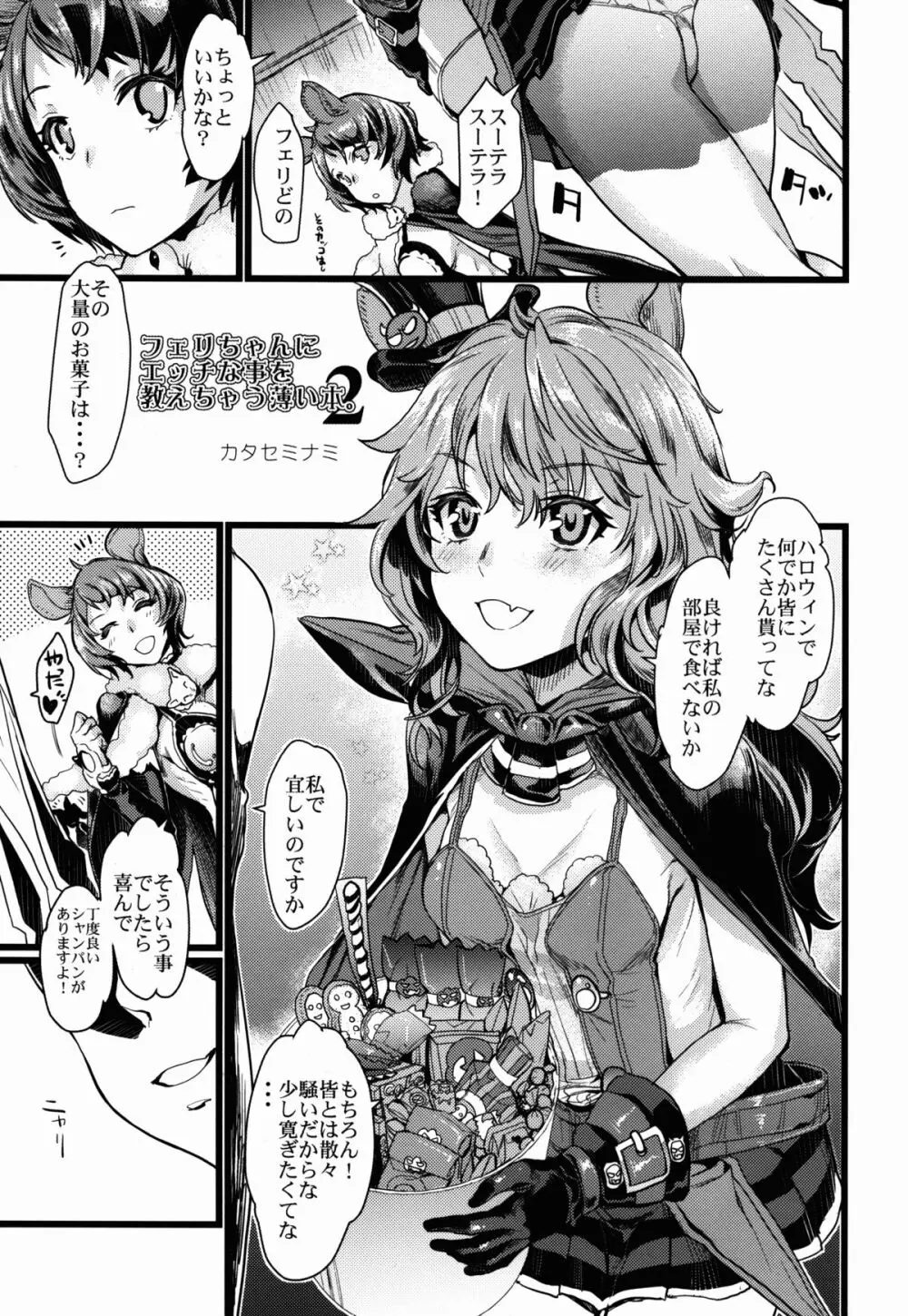 フェリちゃんにえっちなことを教えちゃう薄い本2 - page5