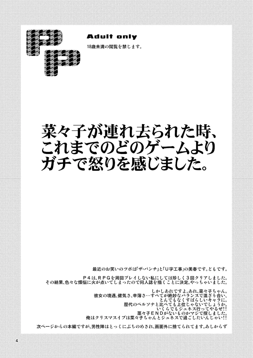 PP - page3