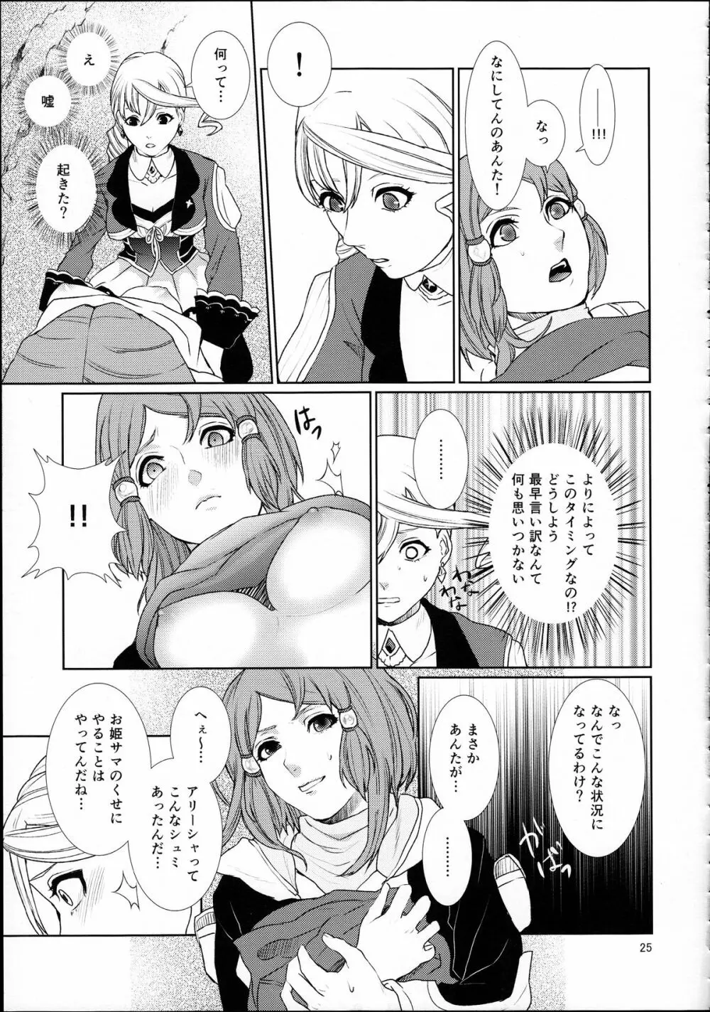 先入知識と接受 - page25