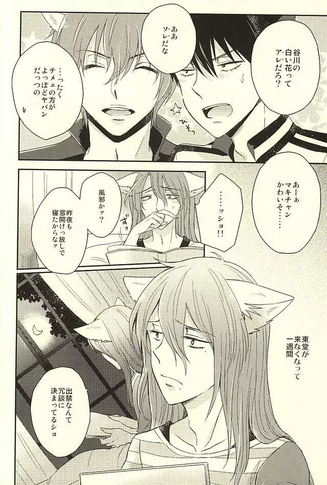 MOUNTING+ - page14