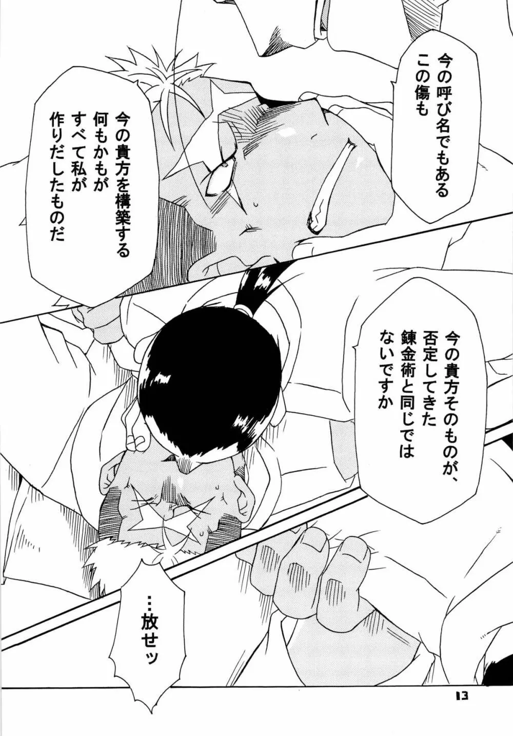 スカーを辱め直す本 - page13