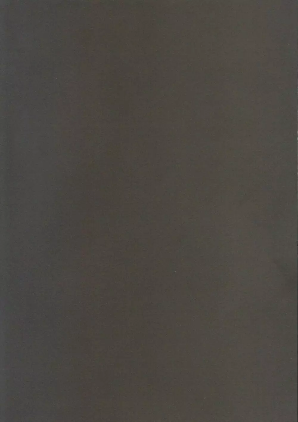 女体化した鬼灯に白澤が掘られる話。 - page3